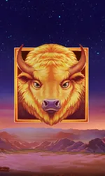 Buffalo's Sun 2